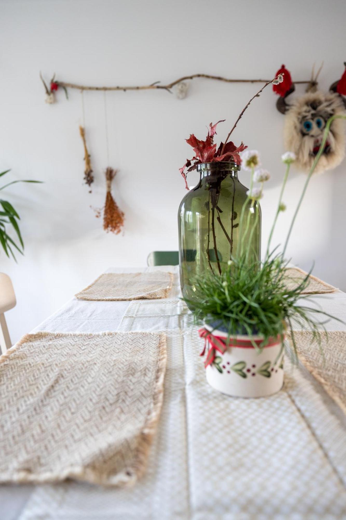 Ograda Village Holiday home Magura (Brasov)